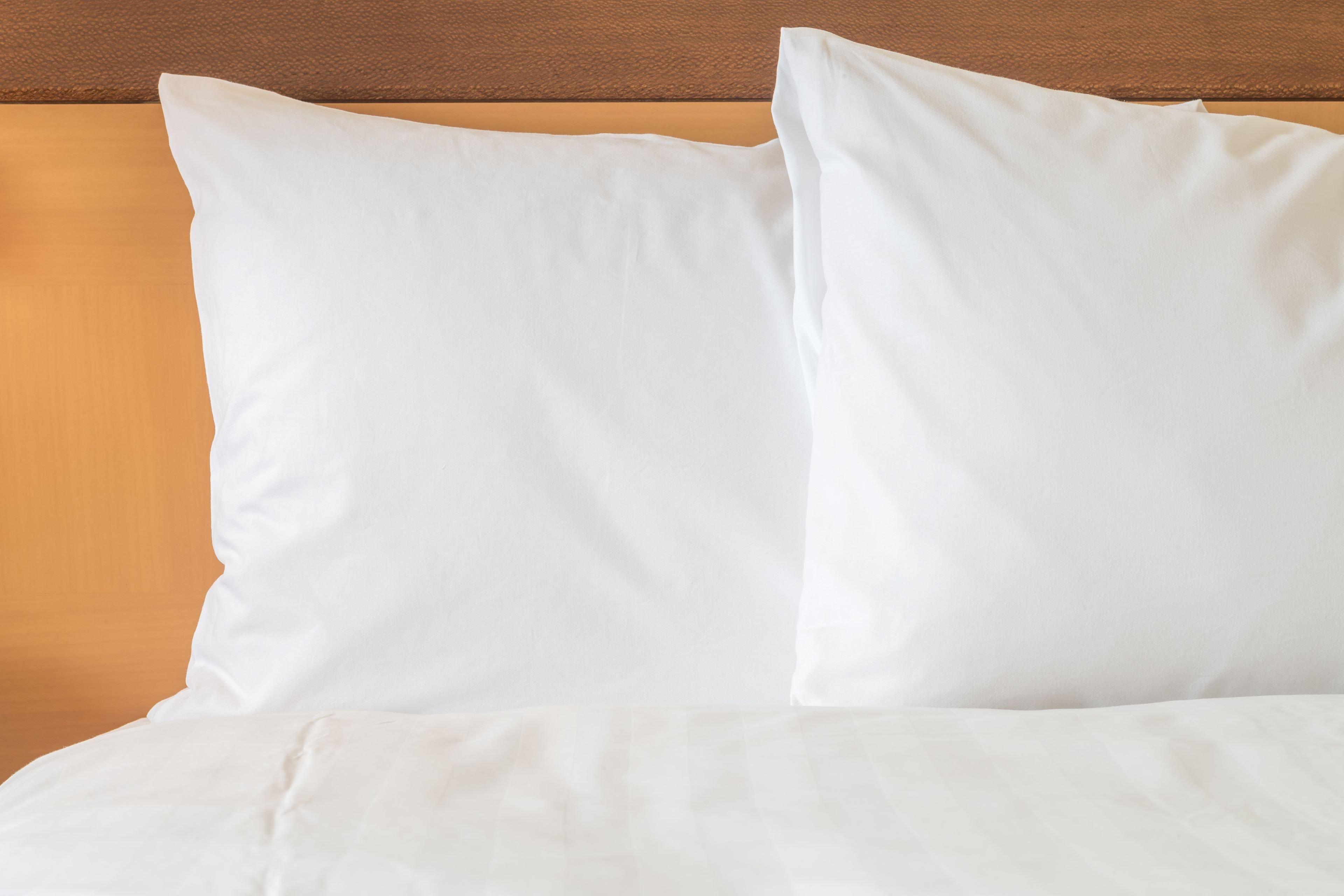 Surestayplus Hotel By Best Western San Jose Central City Eksteriør billede